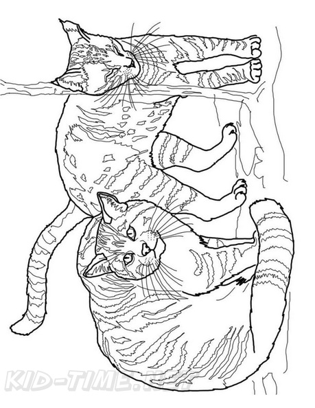 Realistic_Cat_Cat_Coloring_Pages_036.jpg