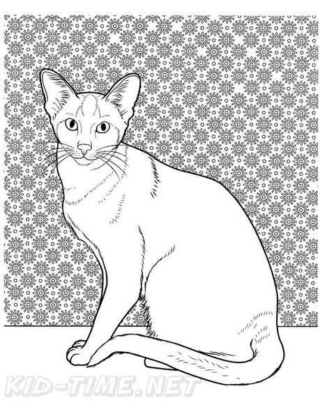 Siamese_Cat_Coloring_Pages_001.jpg