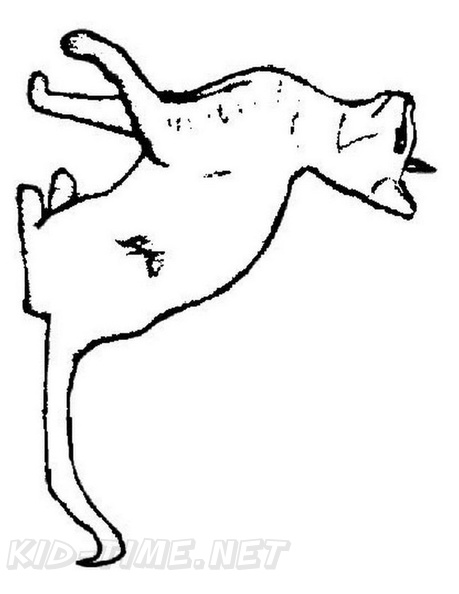 Siamese_Cat_Coloring_Pages_003.jpg