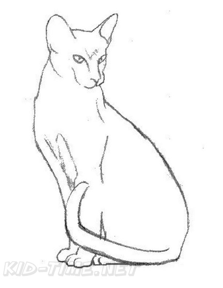 Siamese_Cat_Coloring_Pages_005.jpg