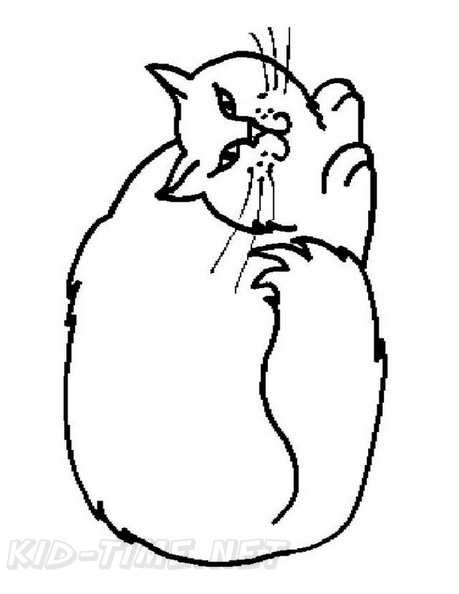 simplistic-cat-simple-toddler-coloring-pages-52.jpg