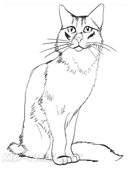 Somali_Cat_Coloring_Pages_006.jpg