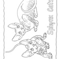 Canadian_Sphynx_Cat_Coloring_Pages_004.jpg