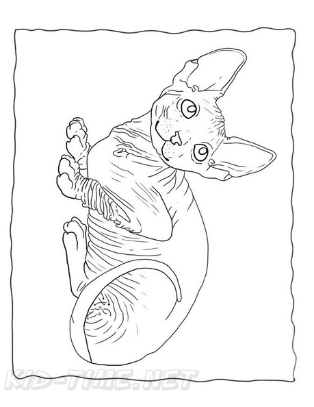 Canadian_Sphynx_Cat_Coloring_Pages_005.jpg