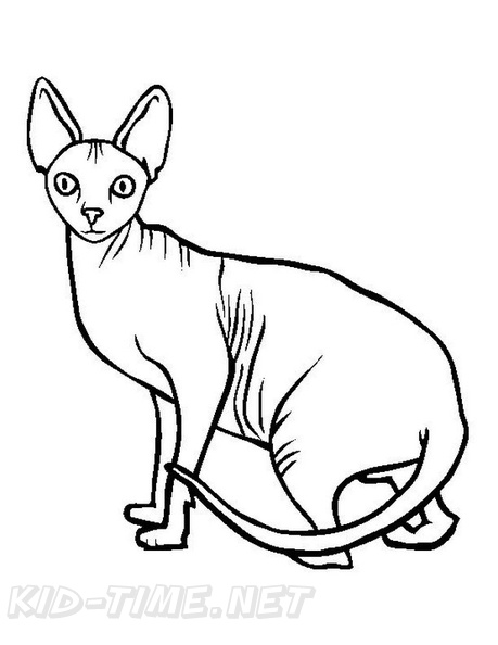 Canadian_Sphynx_Cat_Coloring_Pages_009.jpg