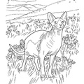 Sphynx Cat Breed Coloring Book Page
