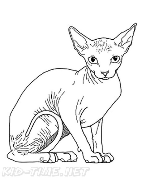 Sphynx_Cat_Coloring_Pages_009.jpg
