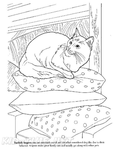Turkish_Angora_Cat_Coloring_Pages_001.jpg