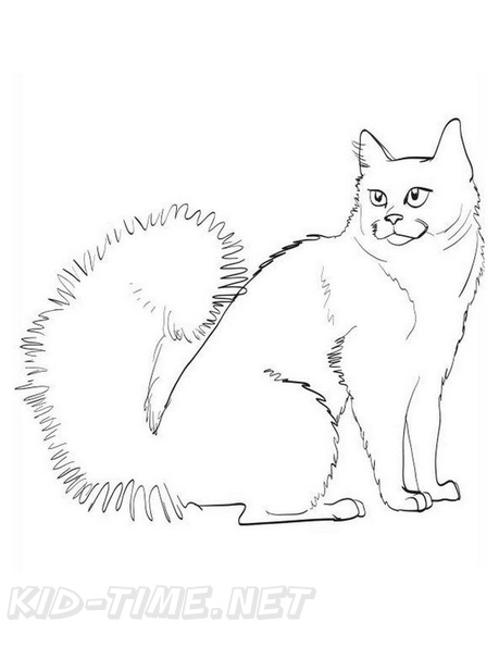 Turkish_Angora_Cat_Coloring_Pages_002.jpg