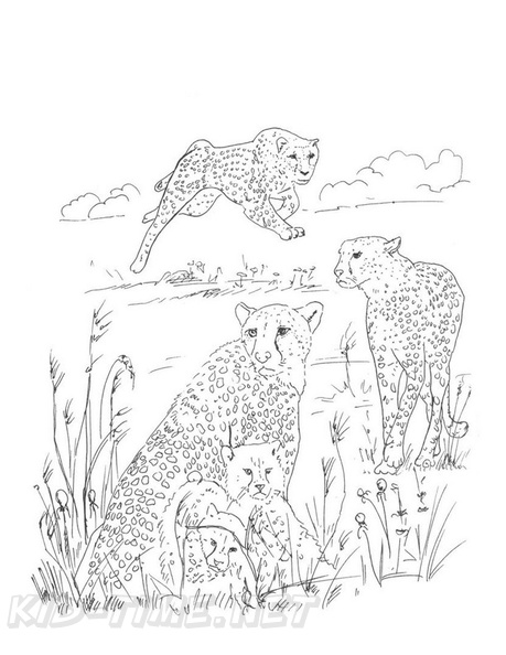 Cheetah_Coloring_Pages_023.jpg