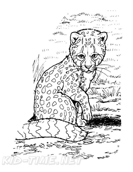 Cheetah_Coloring_Pages_034.jpg