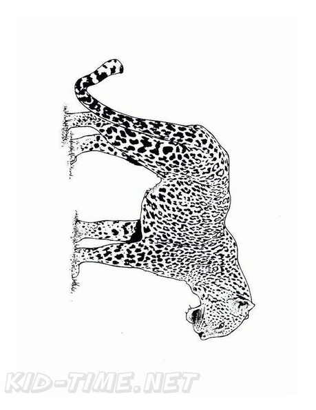 Cheetah_Coloring_Pages_043.jpg