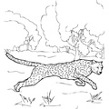 Cheetah_Coloring_Pages_057.jpg