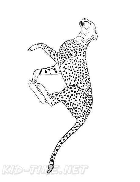 Cheetah_Coloring_Pages_062.jpg