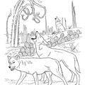 Coyote_Coloring_Pages_004.jpg