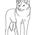 Coyote_Coloring_Pages_016.jpg