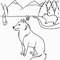 Coyote Coloring Pages 027