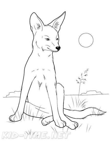 Coyote_Coloring_Pages_028.jpg