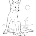 Coyote_Coloring_Pages_028.jpg