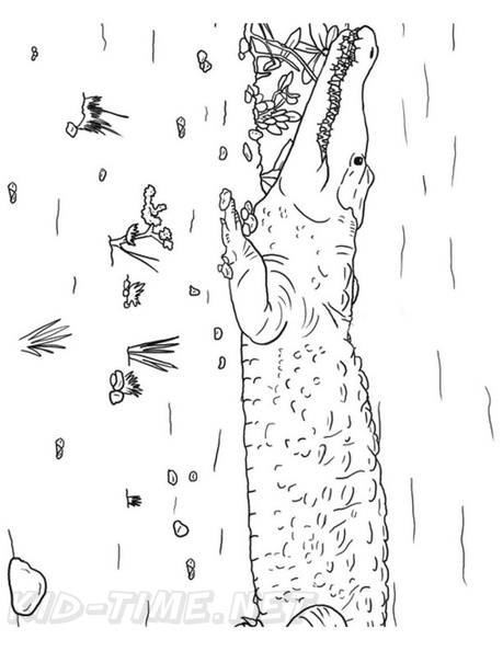 Crocodile_Coloring_Pages_001.jpg