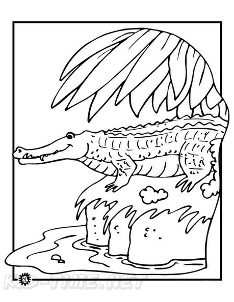 Crocodile_Coloring_Pages_002.jpg