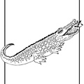 Crocodile_Coloring_Pages_005.jpg