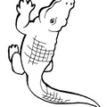Crocodile_Coloring_Pages_007.jpg