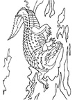 Crocodile Coloring Book Page