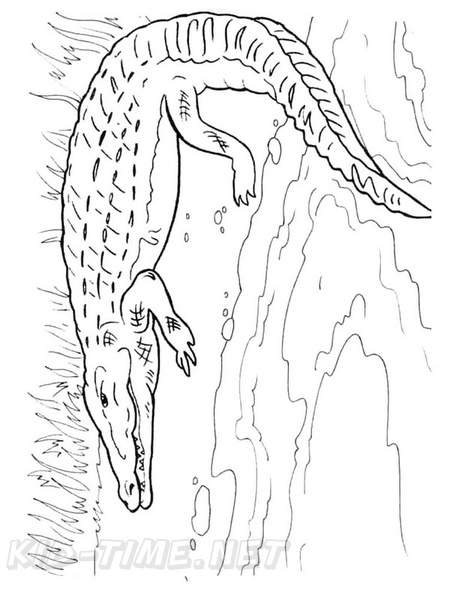 Crocodile_Coloring_Pages_017.jpg
