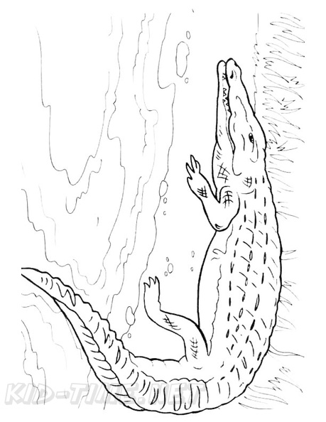 Crocodile_Coloring_Pages_022.jpg