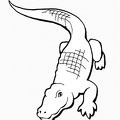 Crocodile_Coloring_Pages_029.jpg