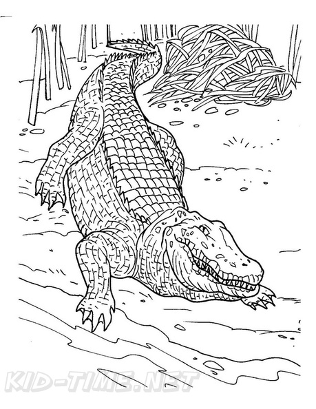 Crocodile_Coloring_Pages_049.jpg
