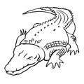 Crocodile_Coloring_Pages_080.jpg