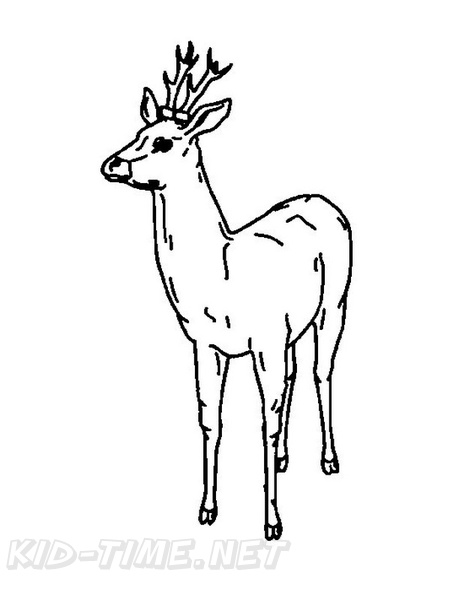 Deer_Coloring_Pages_003.jpg