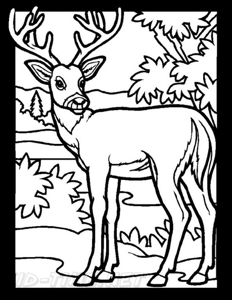 Deer_Coloring_Pages_005.jpg