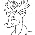 Deer Coloring Pages 009