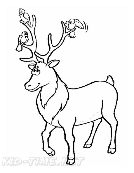 Deer_Coloring_Pages_015.jpg