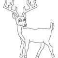Deer Coloring Pages 016