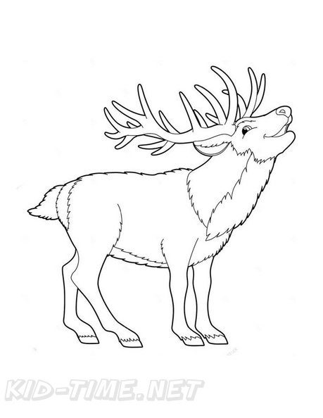 Deer_Coloring_Pages_020.jpg