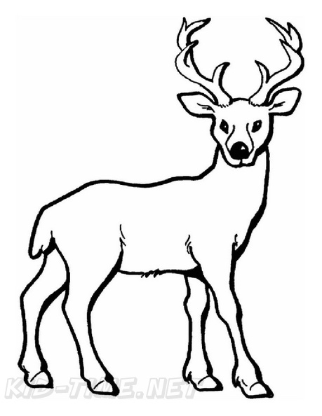 Deer_Coloring_Pages_021.jpg
