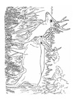 Deer Coloring Pages 025