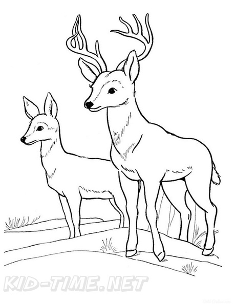 Deer_Coloring_Pages_027.jpg
