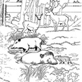 Deer Coloring Pages 034