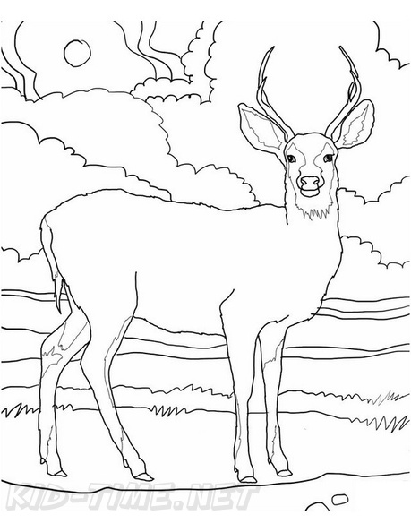 Deer_Coloring_Pages_053.jpg