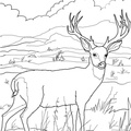 Deer Coloring Pages 060