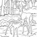 Deer_Family_Coloring_Pages_003.jpg