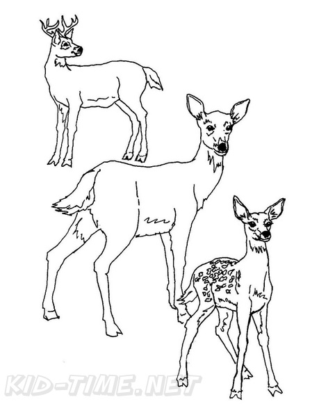 Deer_Family_Coloring_Pages_009.jpg