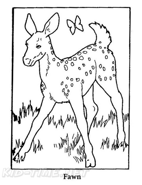 Fawn_Coloring_Pages_001.jpg
