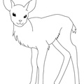 Fawn_Coloring_Pages_002.jpg