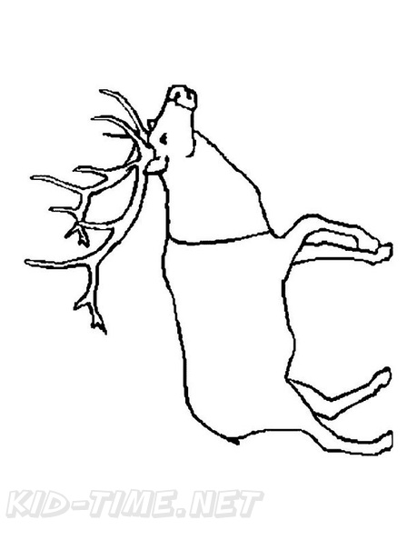 Reindeer_Caribou_Coloring_Pages_012.jpg